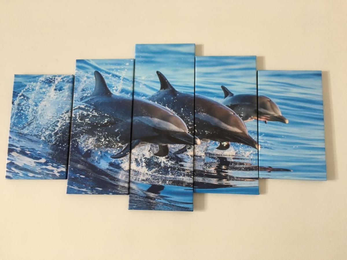 Dolphin Maeva Residencial Villa Puerto Penasco Ngoại thất bức ảnh